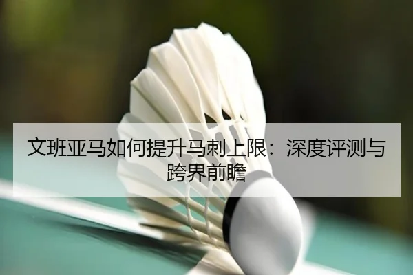 文班亚马如何提升马刺上限：深度评测与跨界前瞻